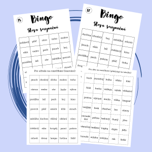 Bingo - slova souznačná - čb bez vzoru
